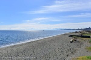 Esquimalt lagoon is another popular local favorite which is great for swimming in the summer time.
