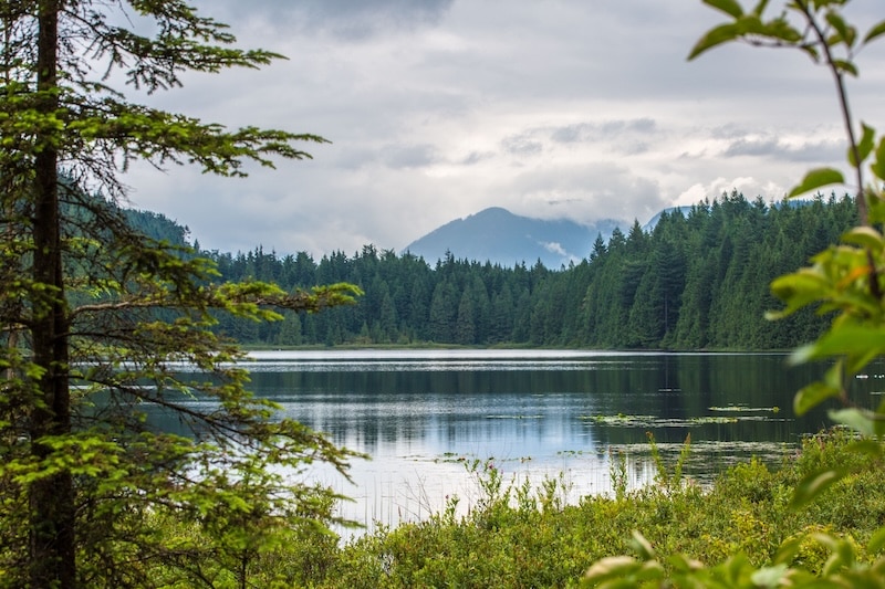 View of a placid lake in Canada through the trees