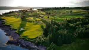 An aerial shot of lush, green grass grass field near the lake on a sunny day