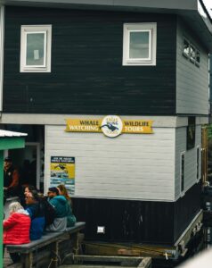 whale watching, Fisherman's Wharf Victoria, BC