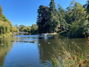 View of Beacon Hill Park's pond and stone bridge on a sunny day 