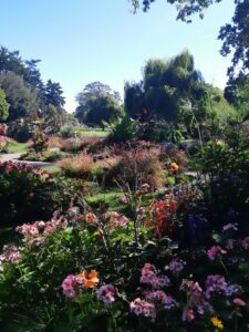 lush garden at Beacon Hill Park in Victoria BC