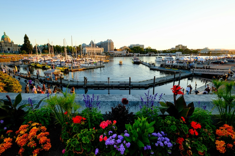 view of Victoria's Inner Harbour from the walkway