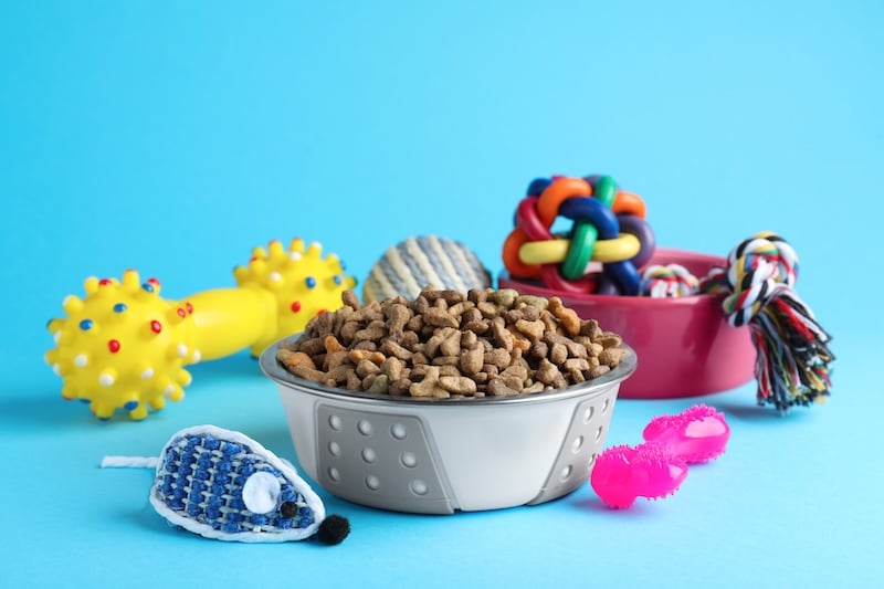 Feeding bowls and toys for pet on light blue background